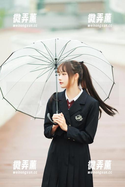 兔子Zzz不吃胡萝卜 校园里的兔子Zzz不吃胡萝卜,大家都在看无圣光的作品吗?