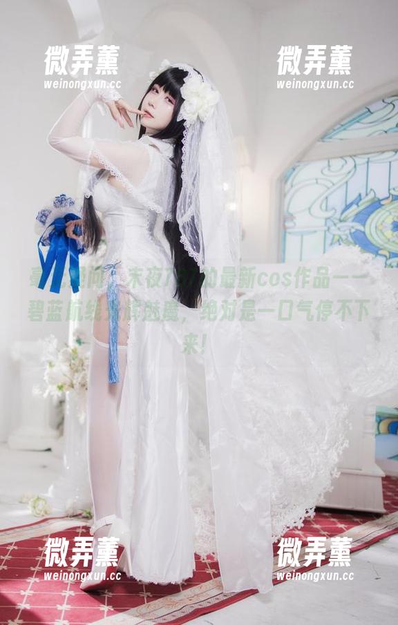 末夜787 毫无疑问,末夜787的最新cos作品——碧蓝航线光辉魅魔,绝对是一口气停不下来!